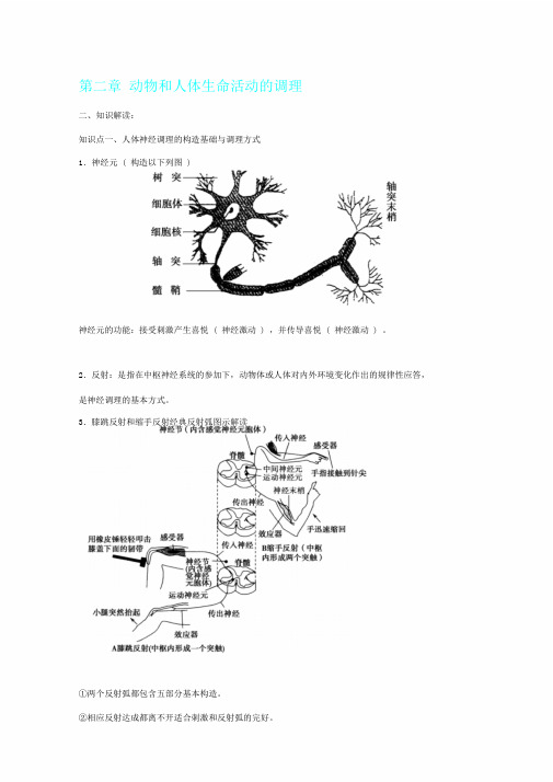 高中生物关于第二章动物及人体生命活动调节期末知识梳理新人教版必修3