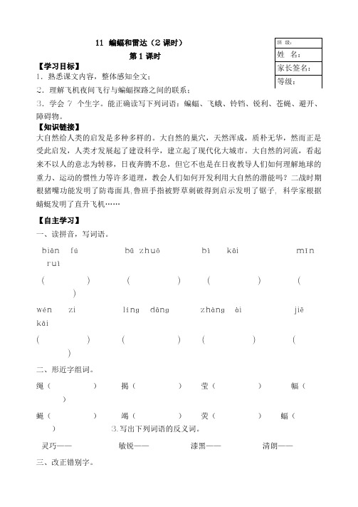 四下语文 11.蝙蝠和雷达校本单