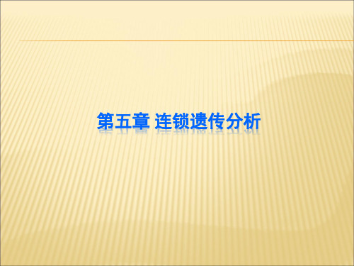 连锁遗传分析讲解