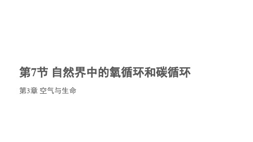 浙教版科学八年级下册3.7 自然界中的氧循环和碳循环(共19张PPT)