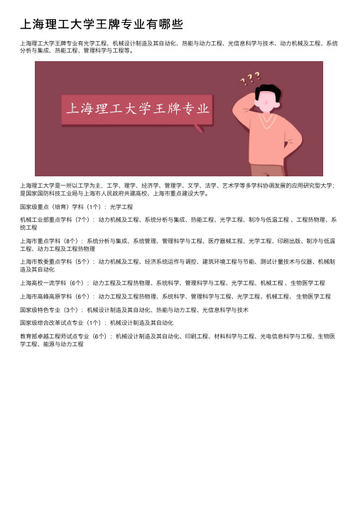 上海理工大学王牌专业有哪些