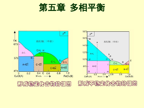 第五章多相平衡