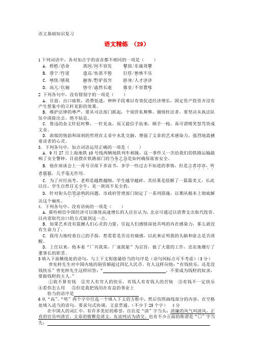 高考语文 复习直冲精练29