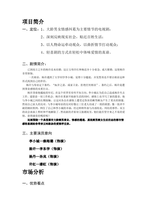 南京朝代影视传播有限公司关于拍摄电视剧《爱情剩世》项目的融资计划书