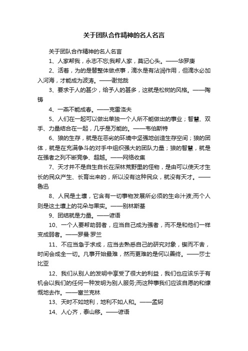 关于团队合作精神的名人名言