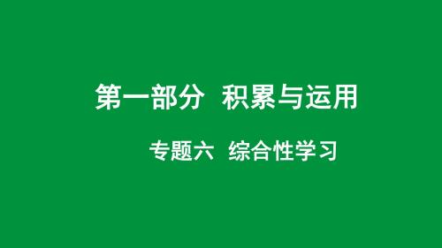 2019湖南试题研究语文PPT专题六  常考考点突破及针对训练