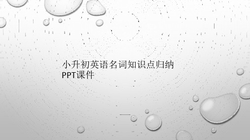 小升初英语名词知识点归纳PPT课件