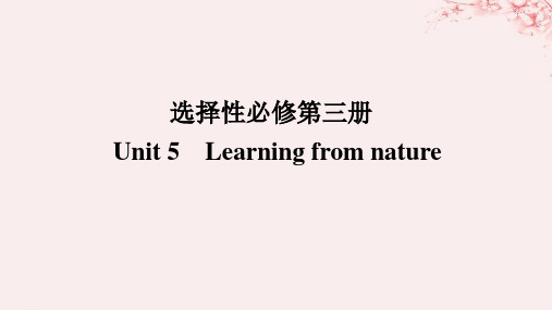 2024版新教材高考英语全程一轮总复习Unit5LearningfromNature课件外研