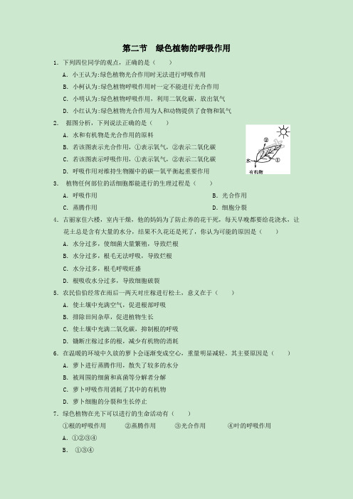 人教版七年级生物上册第二节 绿色植物的呼吸作用课时同步练习含答案