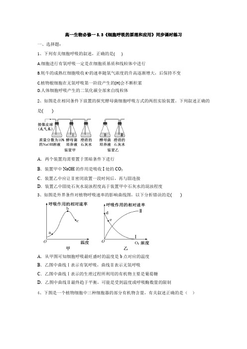 高中生物人教版(2019)必修一  《细胞呼吸的原理和应用》 同步 课时 练习