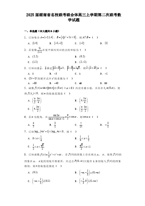 湖南省名校联考联合体2025届高三上学期第二次联考 数学试题(含解析)