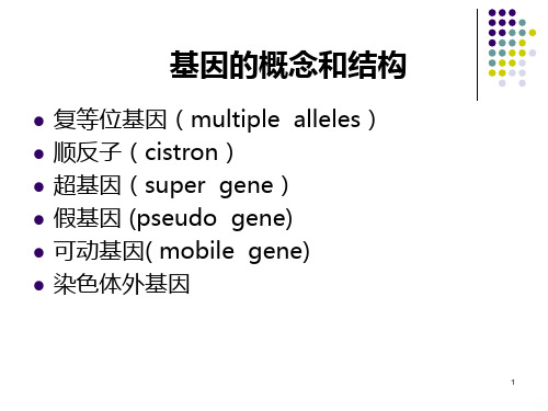 ABO血型系统遗传分析PPT课件