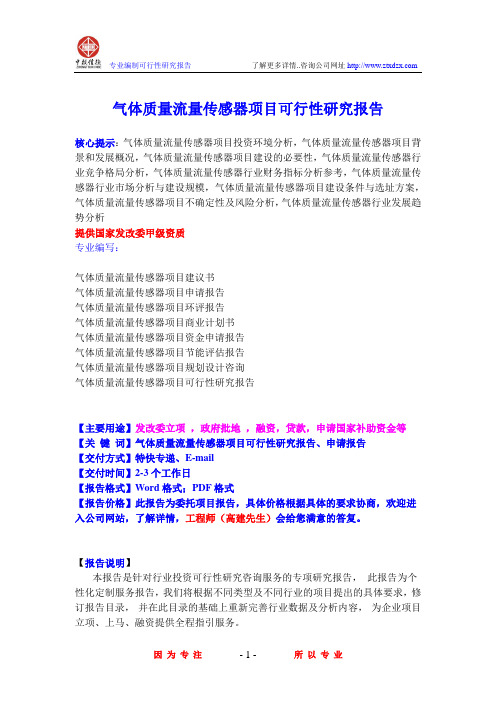 气体质量流量传感器项目可行性研究报告