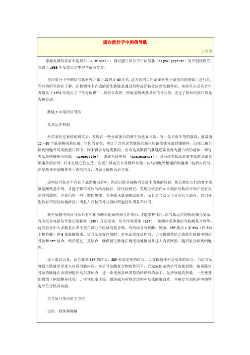 蛋白质分子中的信号肽