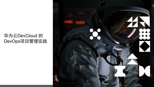 华为云DevCloud的DevOps项目管理实践