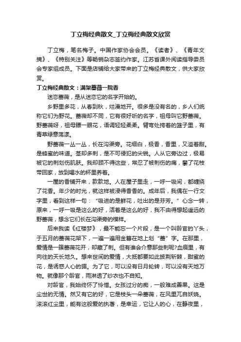 丁立梅经典散文_丁立梅经典散文欣赏