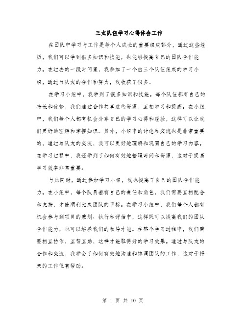 三支队伍学习心得体会工作(五篇)