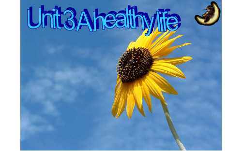 人教高中英语高三选修6 Unit3 A healthy life PTP课件