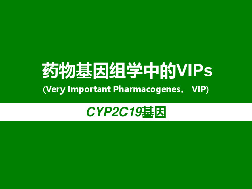 药物基因组学中的VIPs和CYP2C19介绍