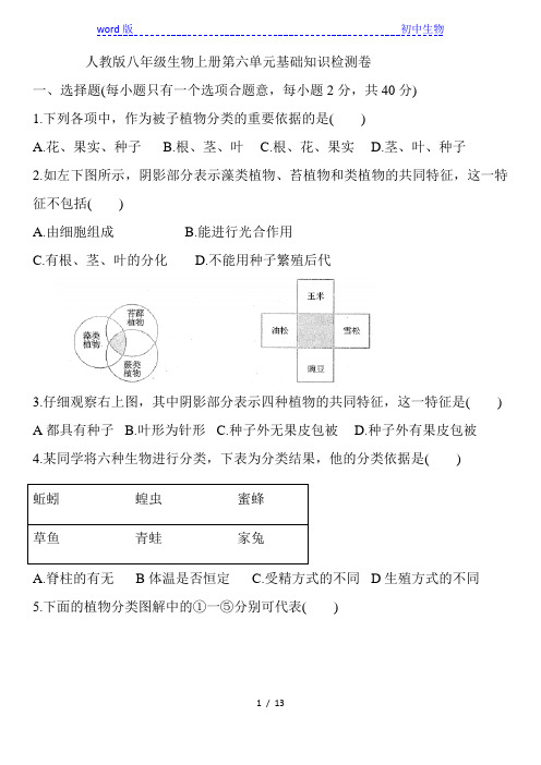 人教版八年级生物上册第六单元 微生物多样性及其保护 基础知识检测卷