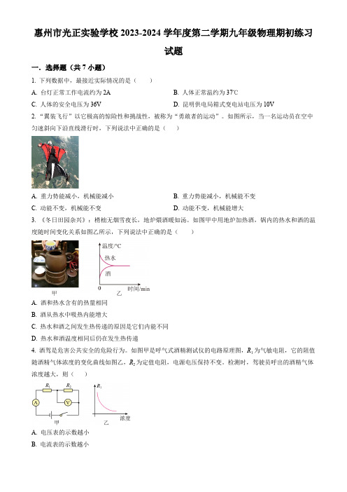 广东省惠州市光正实验中学2023-2024学年九年级下学期开学考试物理试题(原卷版)