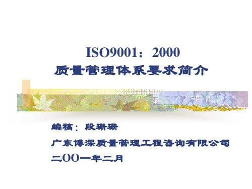 ISO9001：2000质量管理体系要求(ppt 128页)