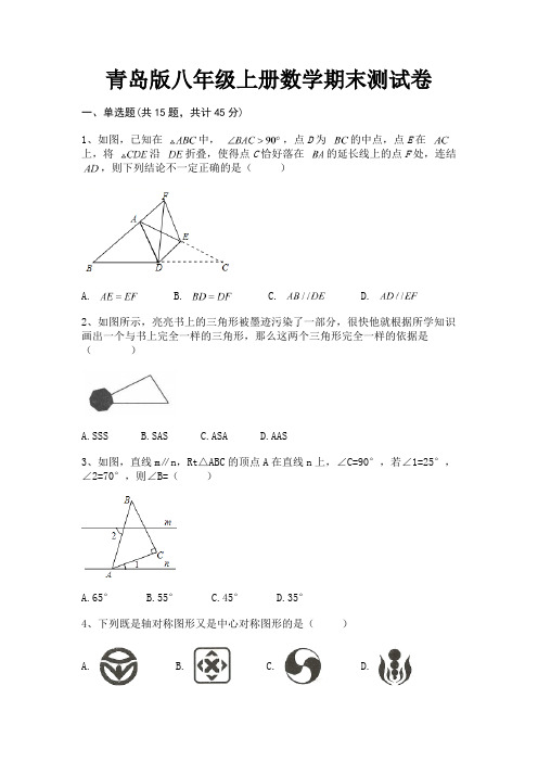 (典型题)青岛版八年级上册数学期末测试卷