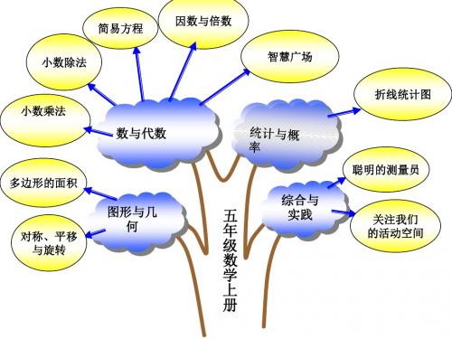 新青岛版五年级上册数学知识树