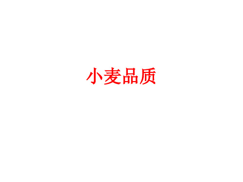 [课件]小麦品质PPT