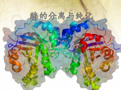 酶的分离与提纯