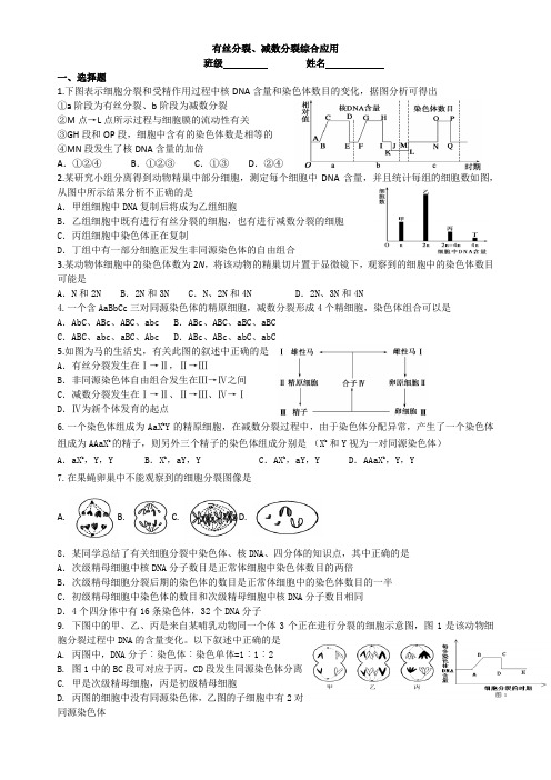 有丝分裂+减数分裂综合应用练习 高一下学期生物人教版必修2