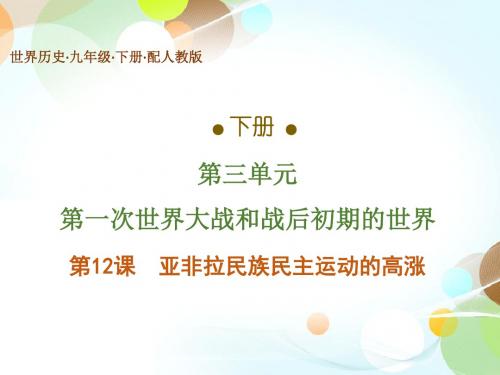 2020版人教部编九年级历史下册课件：第12课 亚非拉民族民主运动的高涨(共39张PPT)