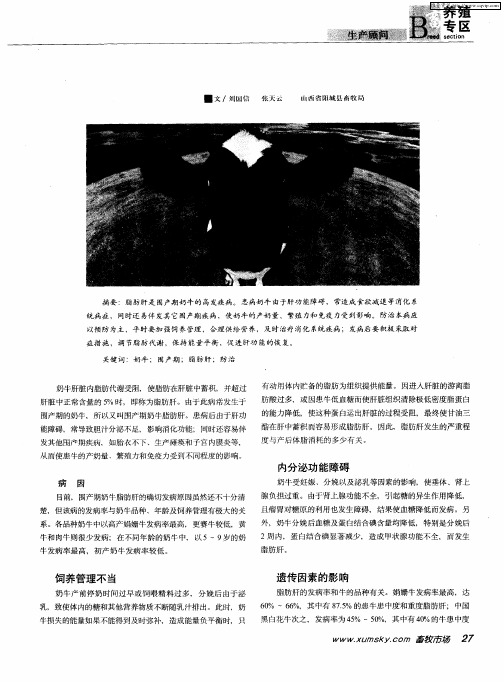 围产期奶牛脂肪肝的防治方法