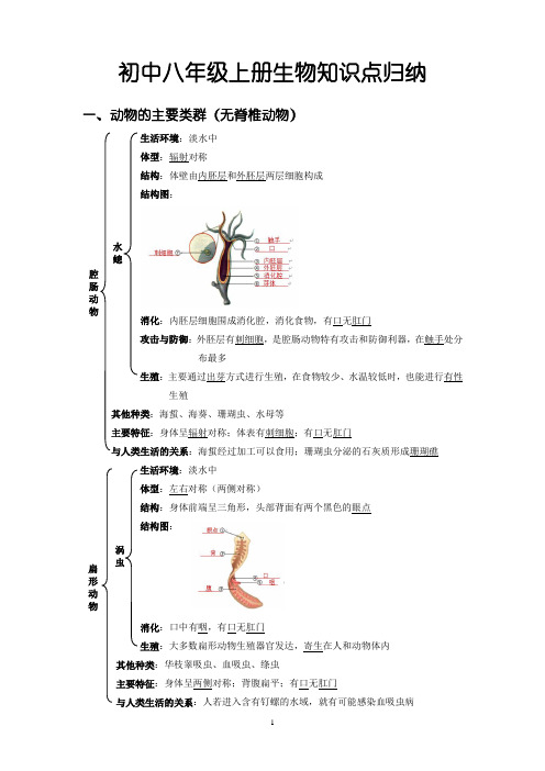 初中生物：初中八年级上册生物知识点归纳【记忆宝典】