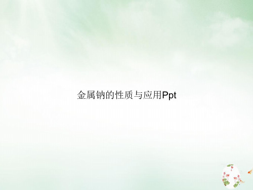 金属钠的性质与应用ppt课件