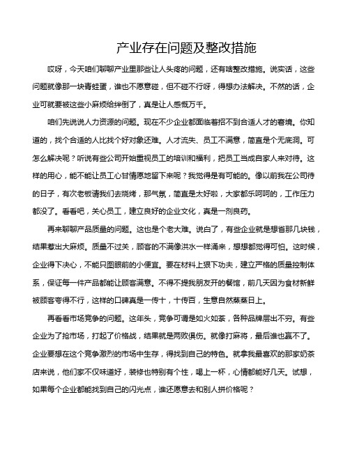 产业存在问题及整改措施