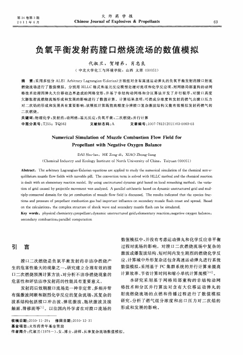 负氧平衡发射药膛口燃烧流场的数值模拟