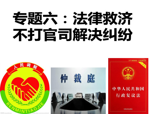 高中政治人教版选修五生活中的法律常识专题6.1不打官司解决纠纷课件(共31张PPT)