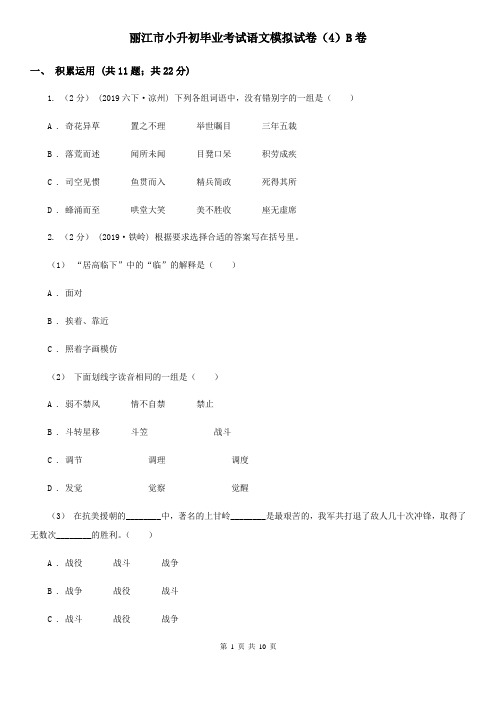 丽江市小升初毕业考试语文模拟试卷(4)B卷