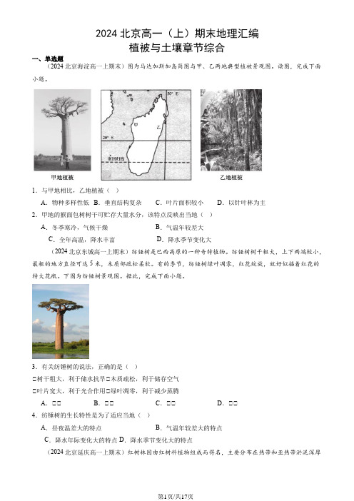 2024北京高一(上)期末地理汇编：植被与土壤章节综合