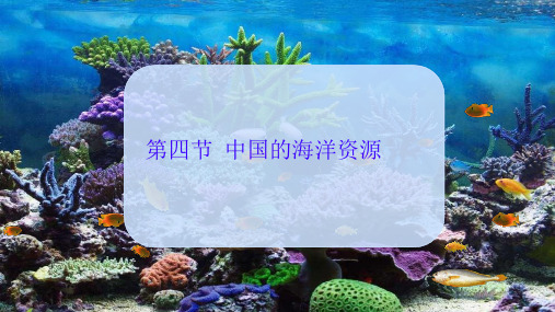 中国的海洋资源 课件-2024-2025学年八年级地理上学期湘教版