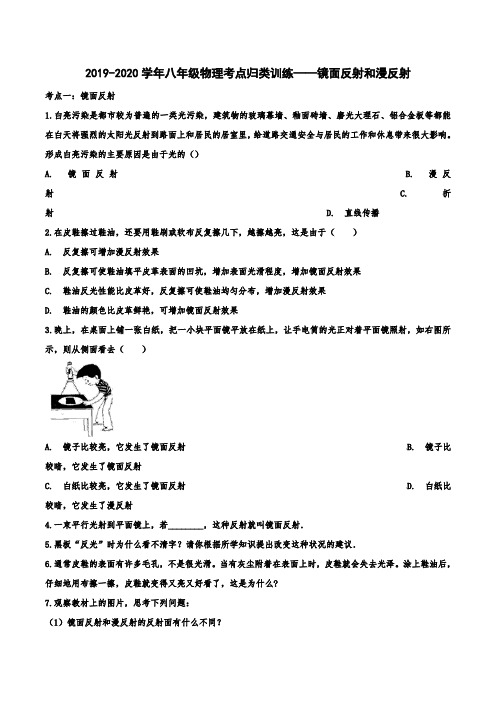 2019-2020学年八年级物理考点归类训练——镜面反射和漫反射(带答案解析)