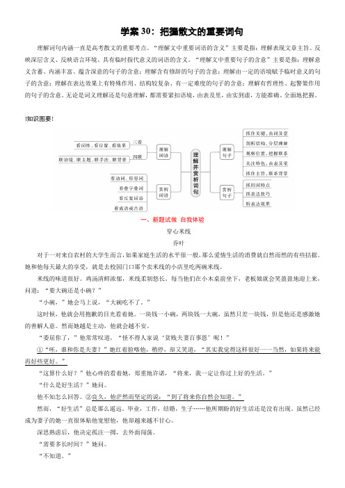 学案30：把握散文的重要词句-2024年高考语文文本阅读总复习