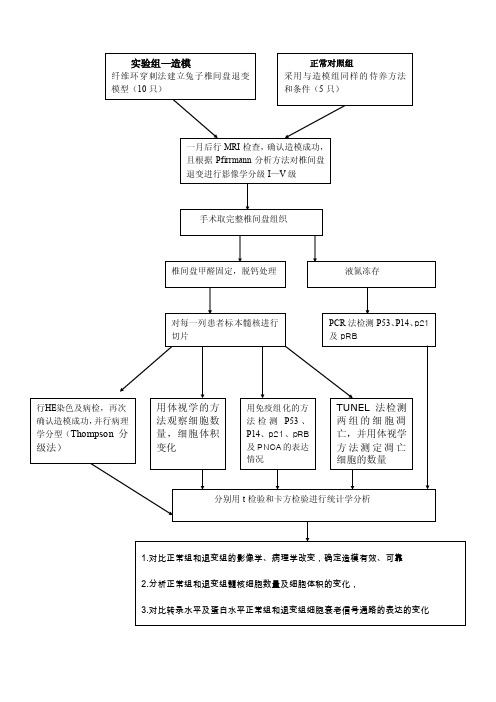 课题的技术路线和实验方法