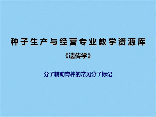 分子辅助育种的常见分子标记(共16张PPT)