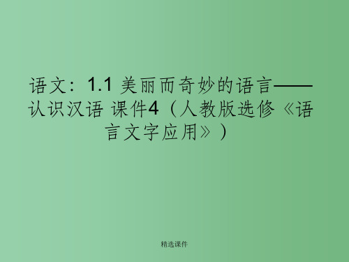 高中语文 1.1美丽而奇妙的语言—认识汉语课件4 新人教版选修《语言文字应用》