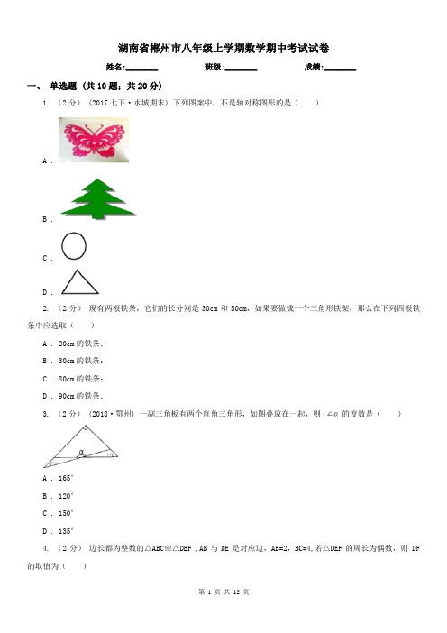 湖南省郴州市八年级上学期数学期中考试试卷