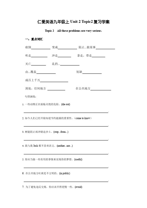 仁爱英语九年级上Unit 2 Topic2复习学案(无答案)