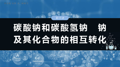 2025年高考化学一轮复习(新高考版)大单元2  第11讲 碳酸钠和碳酸氢钠 钠及其化合物的相互转化