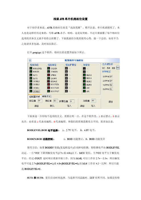 浅谈AVR单片机熔丝位设置